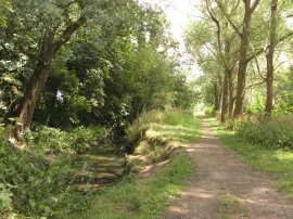 Redhill Brook